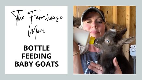 How To Bottle Feed A Baby Goat | Best Baby Goat Bottle To Buy