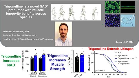 Trigonelline Increases NAD, Improves Muscle Function, And Extends Lifespan: Vincenzo Sorrentino, PhD