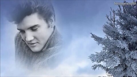 Elvis Presley Holly Leaves And Christmas Trees HD