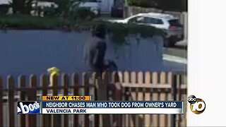 Neighbor chases man who took dog from owner's yard