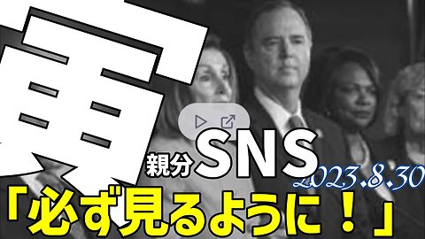 寅親分が必見！と言っている動画の内容も日本語にしました🐯[SNS]050830