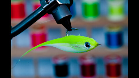 Crafty Point Up Baitfish - Underwater Footage! - craft fur streamer fly that swims hook point up