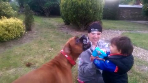 Toddler and his dog play with a bubble machine