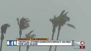 How will tropical Storm Gordon impact Southwest Florida's red tide, algae?