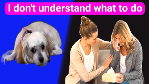 Review information Dog training near me || How to stop a dog biting you || Dog training