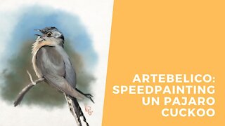 Speedpainting a Cuckoo bird