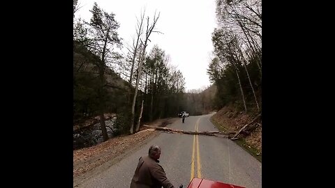 TREES DOWN on a Stormy Day in Pennsylvania!