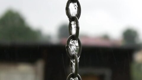 Rain Raindrop Drops Nature Wet Waterdrop Close Up1
