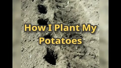 Gardening - How I Plant My Potatoes
