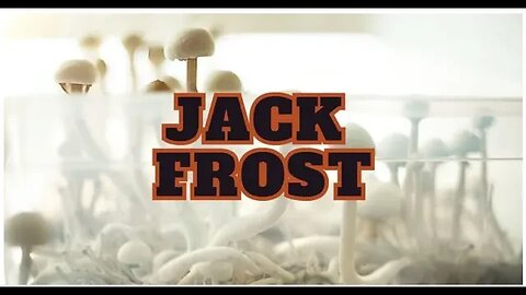 Jack Frost Mushroom