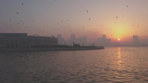 Sharjah this morning