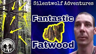 Fantastic Fatwood!