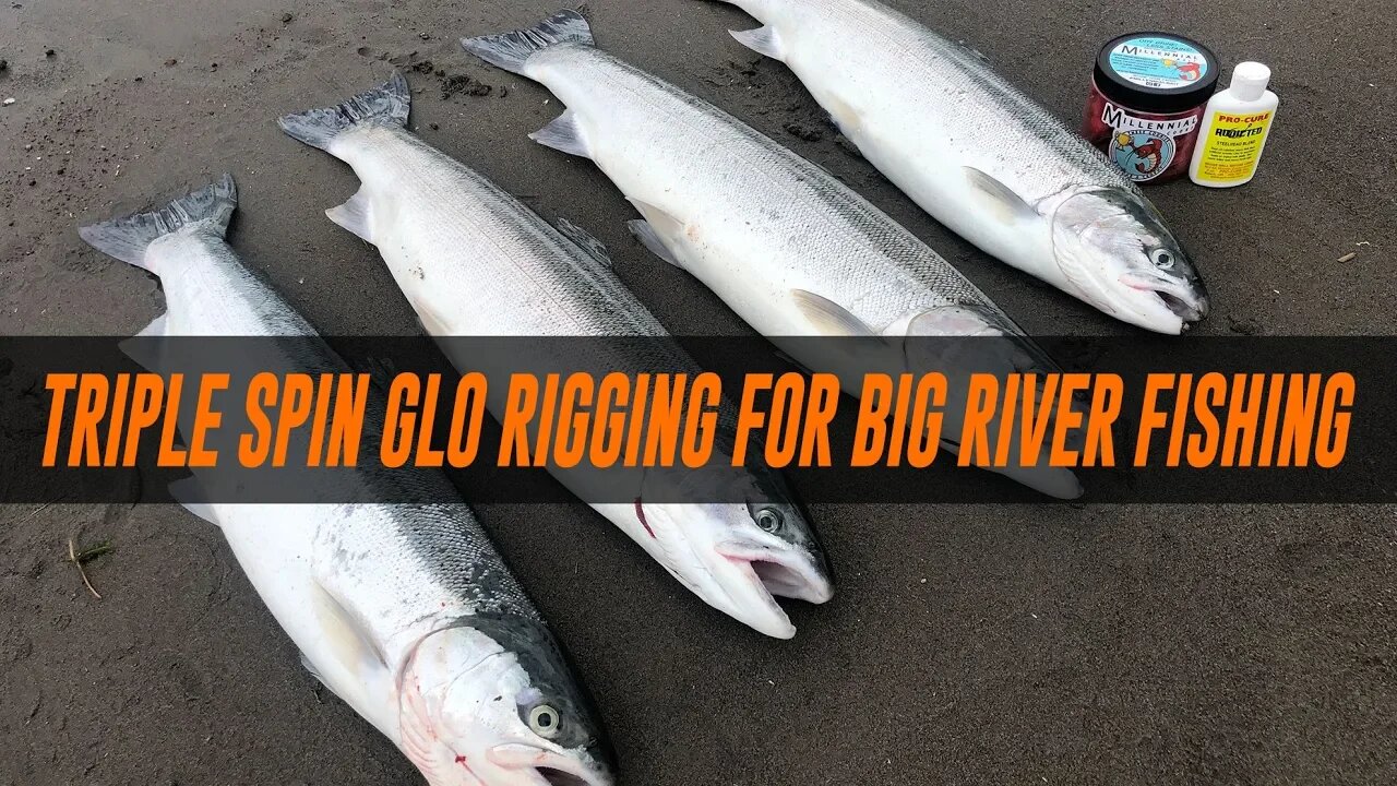 How To Bank Fishing For Steelhead  Triple Spin Glo Rigging For Big River  Fishing