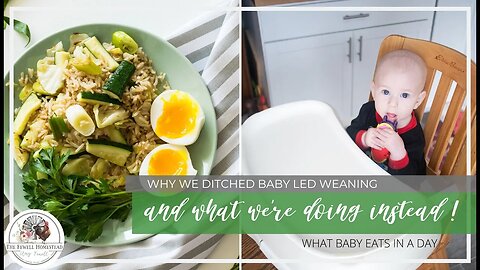 Why We DITCHED Baby Led Weaning | What BABY Eats In a DAY