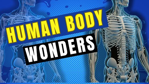 Mind-Blowing Facts About the Human Body | Unveiling the Wonders of the Human Body