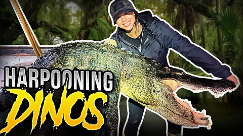 Harpooning Gators in the Everglades