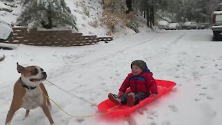 Sledding