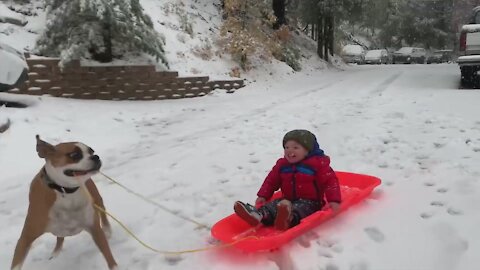 Sledding