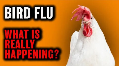 Avian Influenza HPAI Bird Flu Chicken Farming with Dr. Bruce Stewart-Brown of Perdue Farms