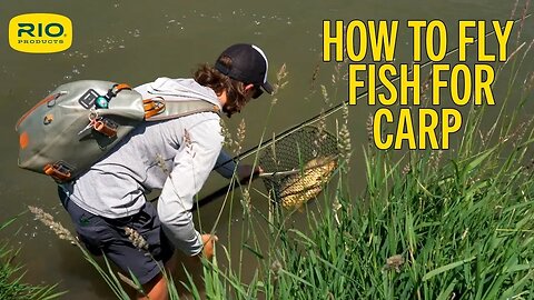 How To Fly Fish For Carp - RIO Products