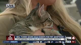 Bell Tower partners with humane society for pet events