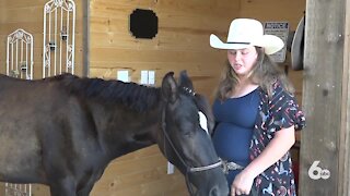 Idaho 4H clubs train wild horses for Bureau of Land Management adoption