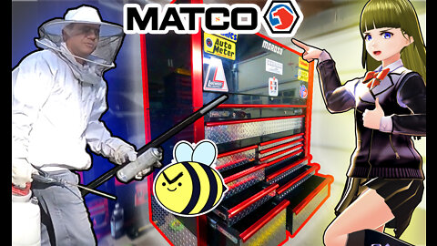 Complete restoration of Matco tool box! Feat Bald faced hornets and Anime! (our mascot)