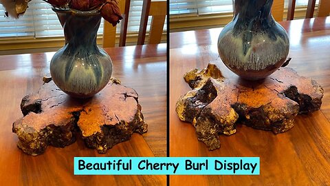 Beautiful Cherry Burl Display