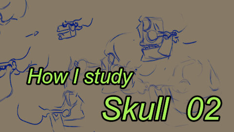 Skull Study Process 02 - How i study