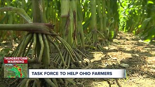The Ohio State University creates task force to help struggling farmers