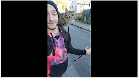 Super unique cat rides skateboard with owner