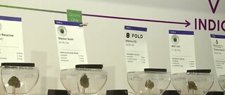 Houses passes marijuana banking bill