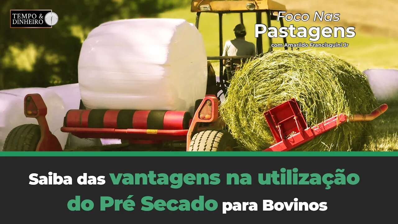 Saiba das vantagens na utilização do Pré Secado para Bovinos, hoje em ...