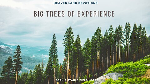 Heaven Land Devotions - Big Trees of Experience
