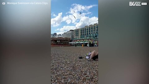 Des mouettes attaquent une femme sur la plage
