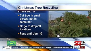 Christmas tree recycling