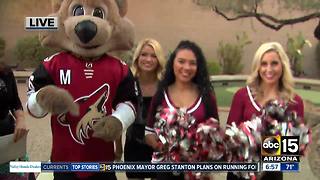 Get a great deal on tickets to the Arizona Coyotes