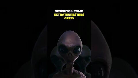 Os Surpreendentes Seres Extraterrestres Greis Que Nunca Foram Vistos Oficialmente