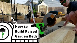 How I Built My Raised Garden Beds