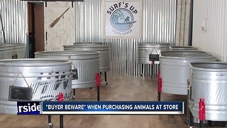 "Buyer Beware" lawyer says when purchasing animals at retail locations