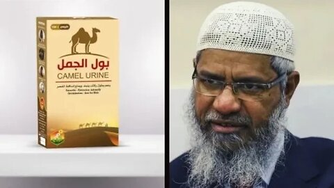 Zakir Naik (World Cup Preacher) Loves Camel Urine! Like Muhammad did!