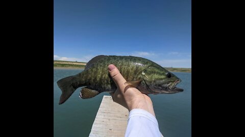 Colorado Fishing 5/20/2021