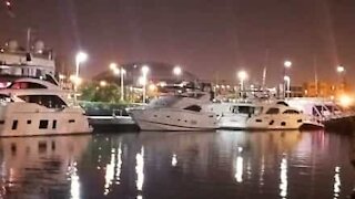 Ils volent un yacht et s'écrasent dans la marina