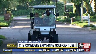 More golf carts could be on Temple Terrace roads