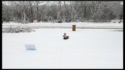 Crazy Odd Snow Storm in Oklahoma ~ Let's Sled