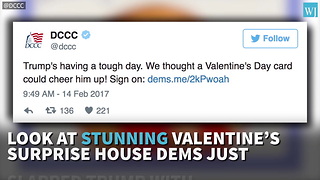Look At Stunning Valentines Surprise House Dems Just Slapped Trump With