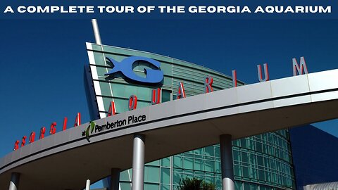 A Complete Tour Of The Georgia Aquarium!