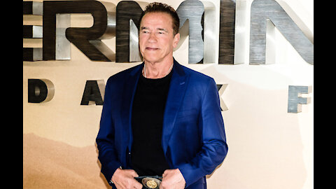 Arnold Schwarzenegger is set to make his scripted TV debut in a new Netflix series