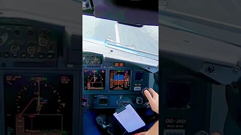 Fighting Crosswinds on Landing