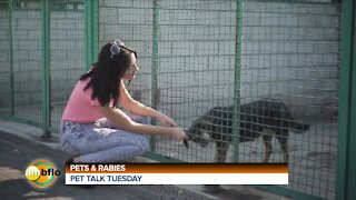PET TALK TUESDAY - PETS AND RABIES
